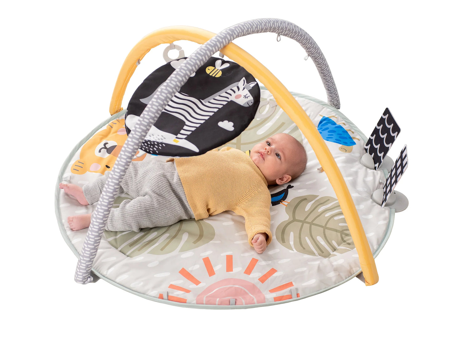 Savannah 360 Activity Gym 0m+