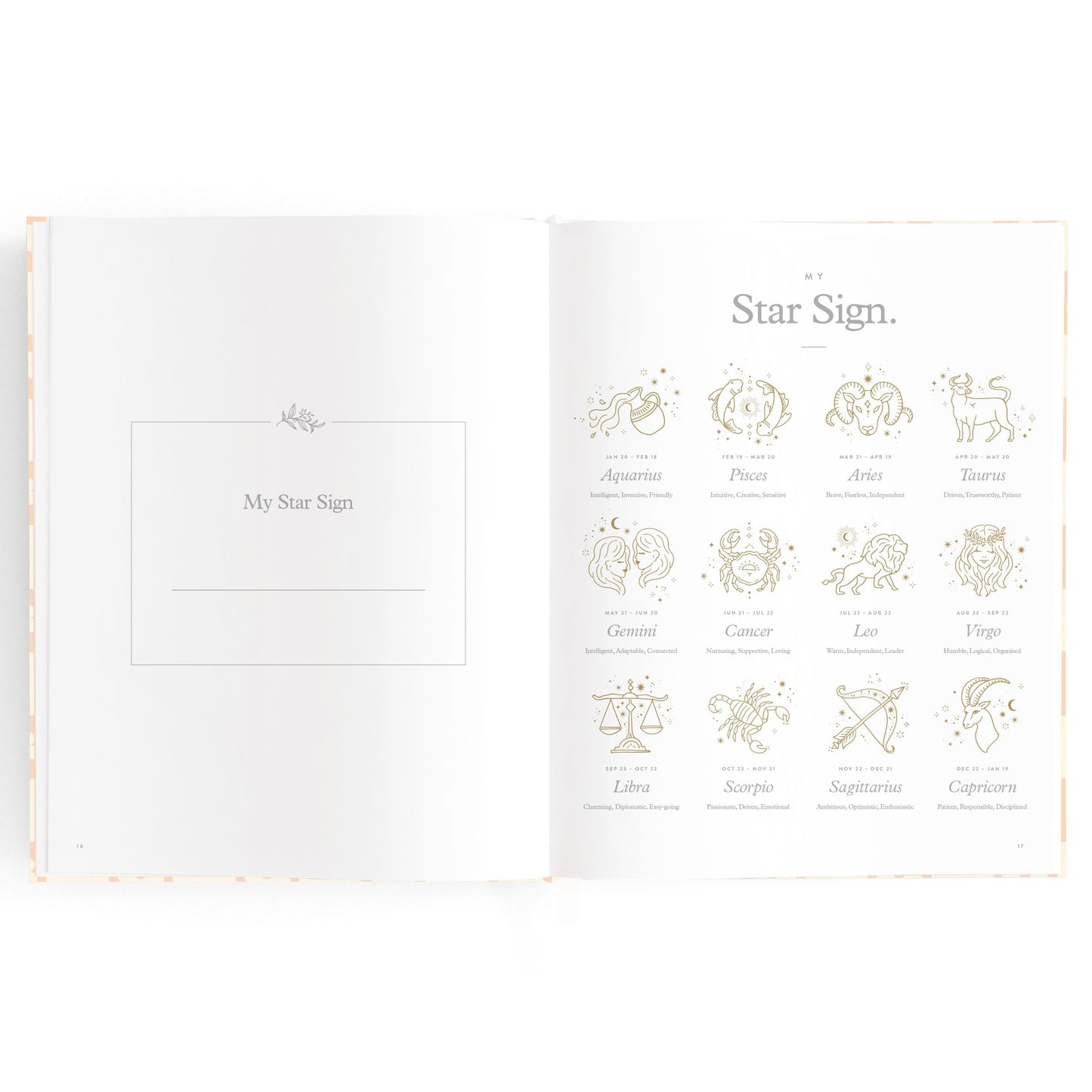 Baby Journal - Daisy Grid