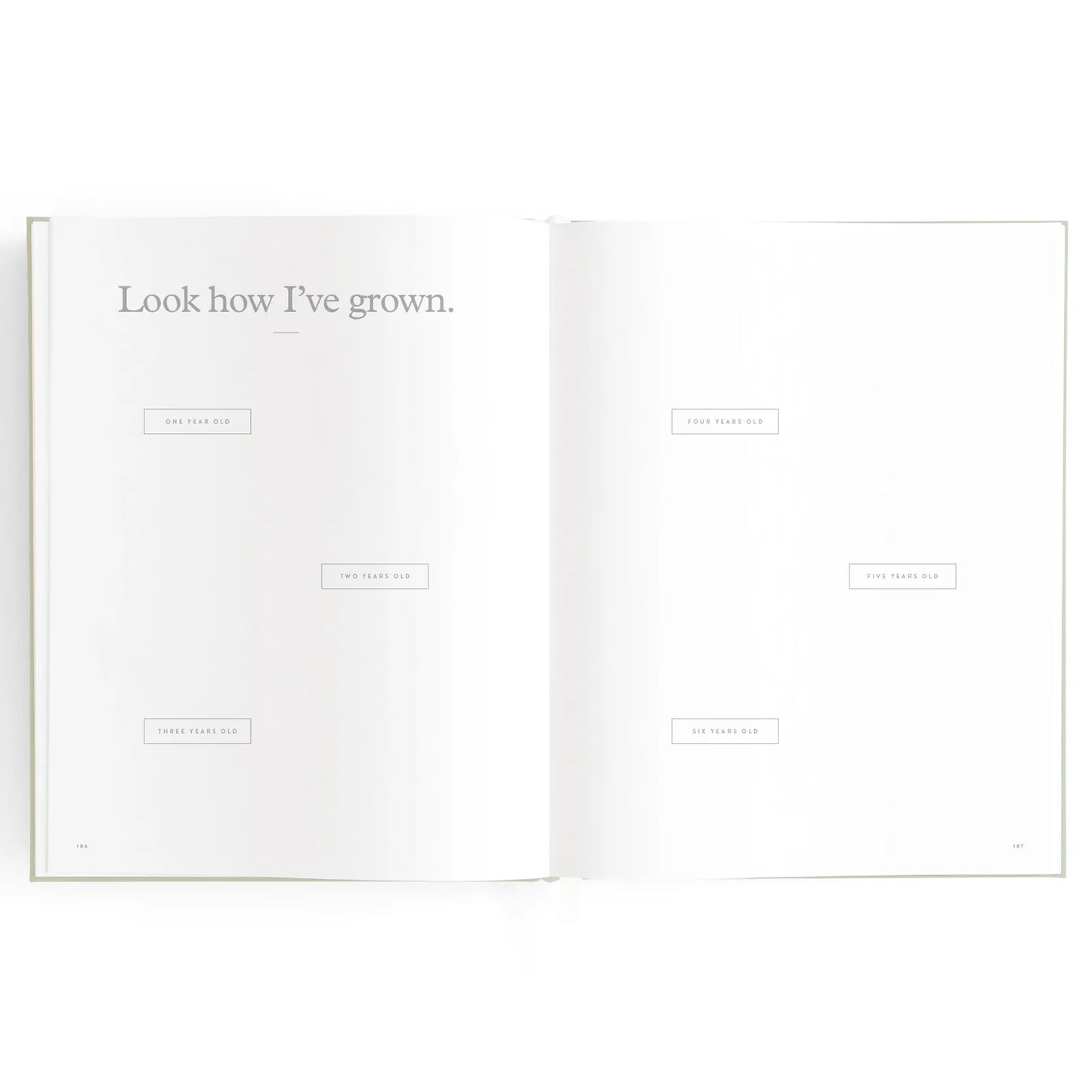 Baby Journal 3rd Edition - Blue Ducks