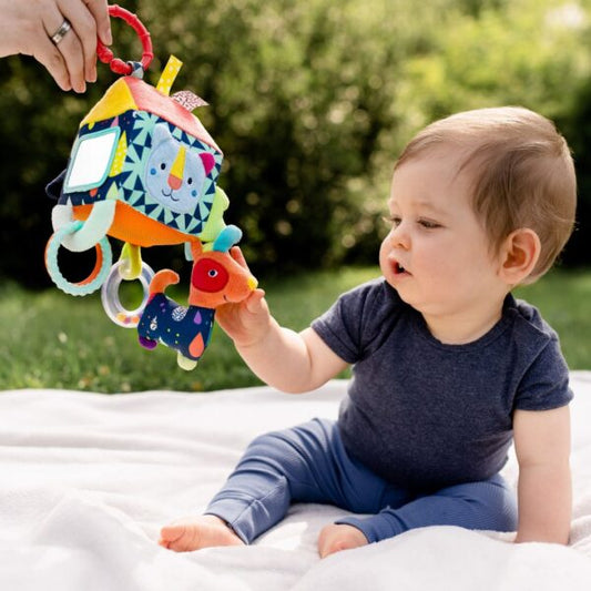 Activity Sensory House