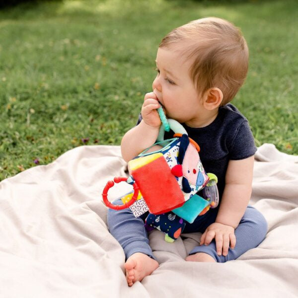 Activity Sensory House