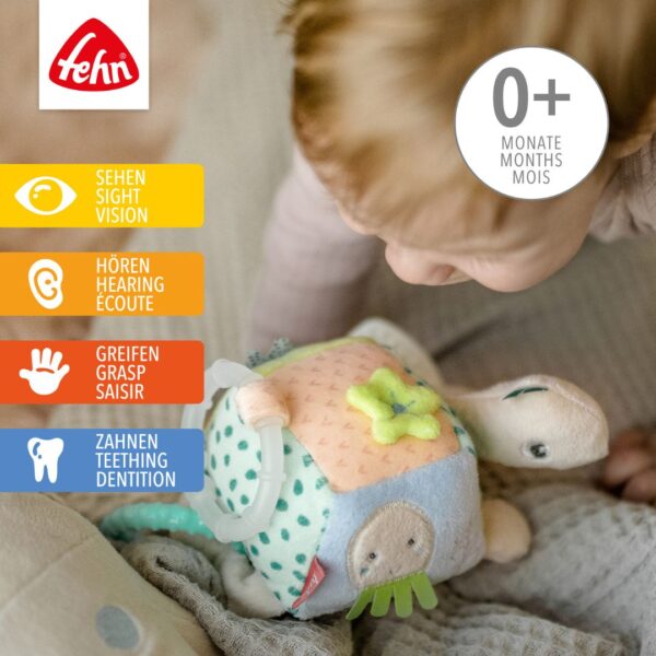 Activity Sensory Turtle