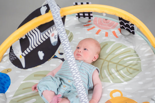 Savannah 360 Activity Gym 0m+