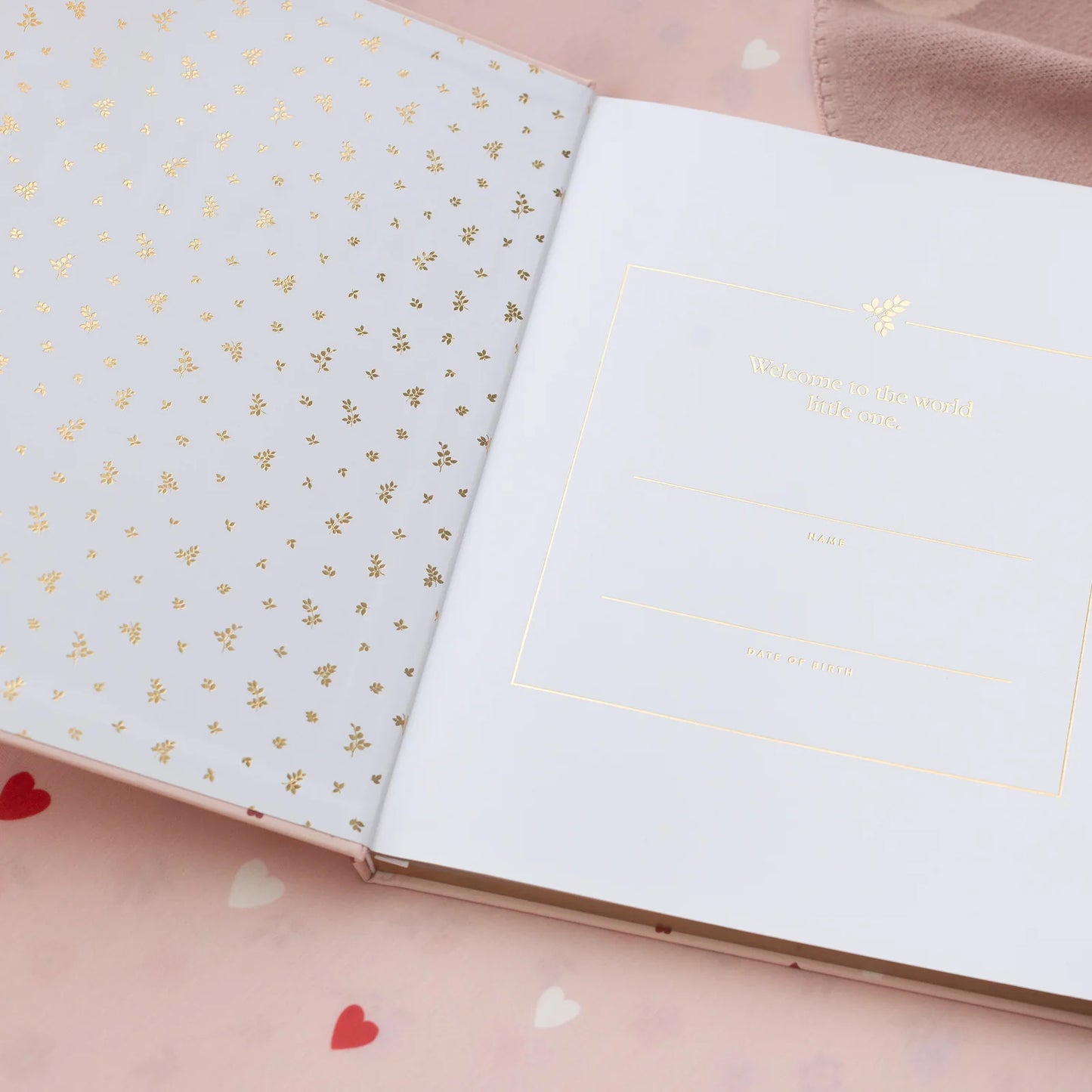 Baby Journal 3rd Edition - Little Hearts