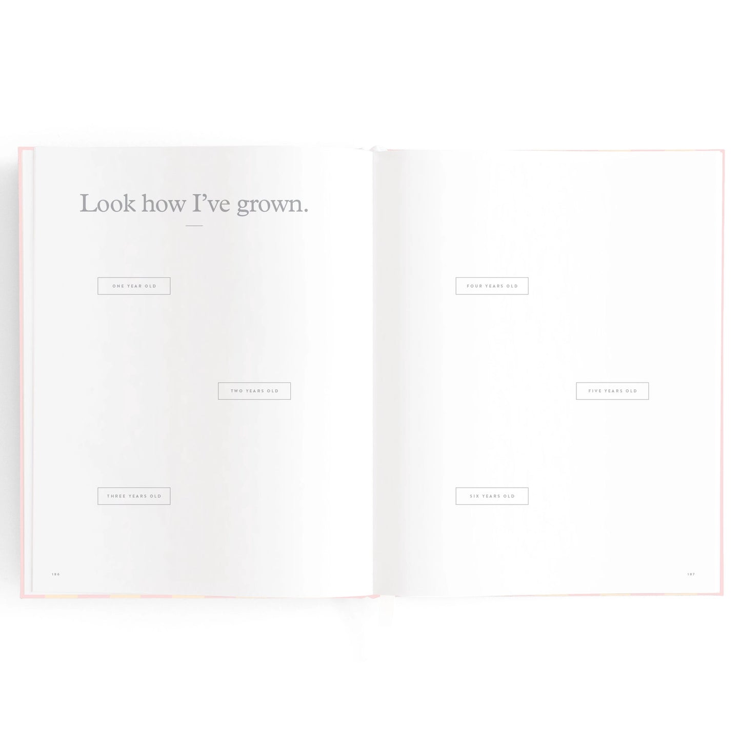 Baby Journal - Petal Stripe