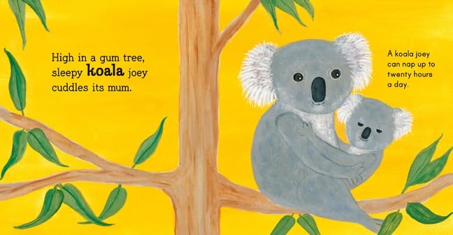 Australian Baby Animals Boardbook