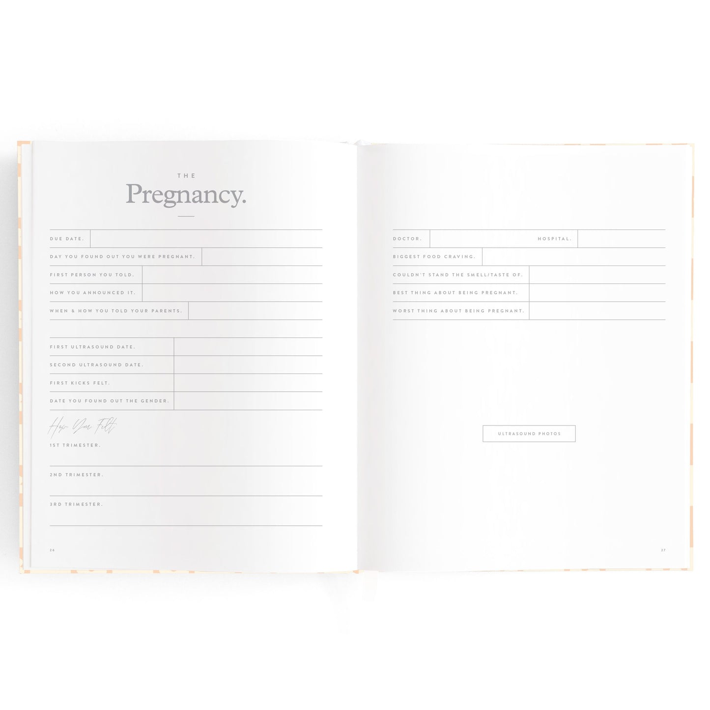 Baby Journal - Daisy Grid