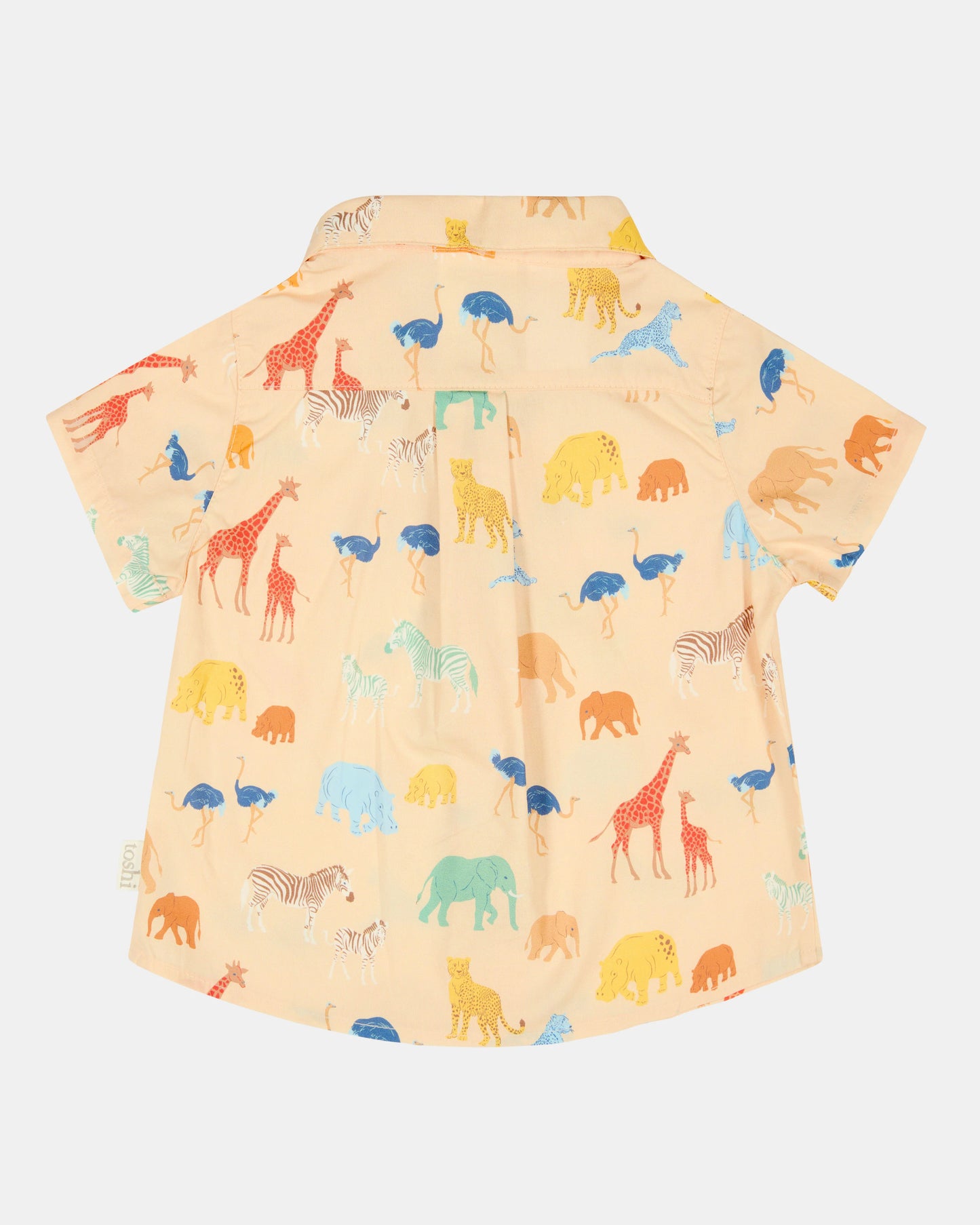 Shirt Banjo - Congo Driftwood