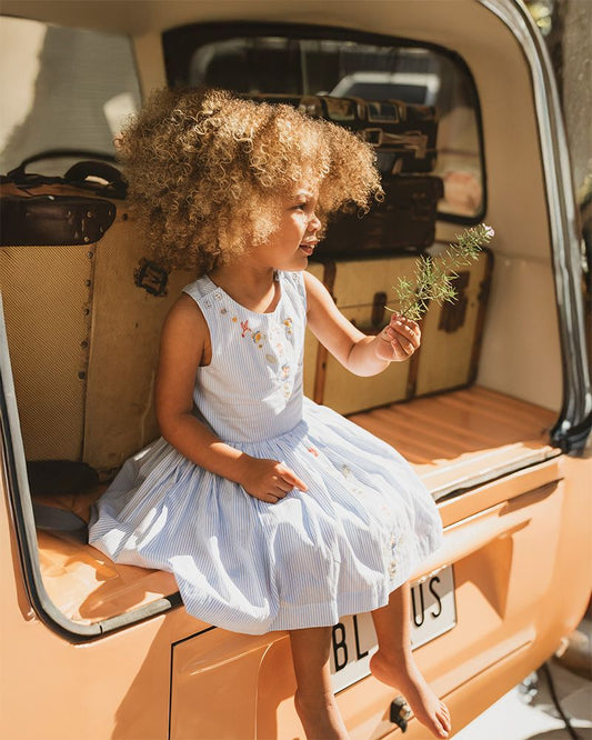 Songbird Stripe Embroidered Cross Back Dress