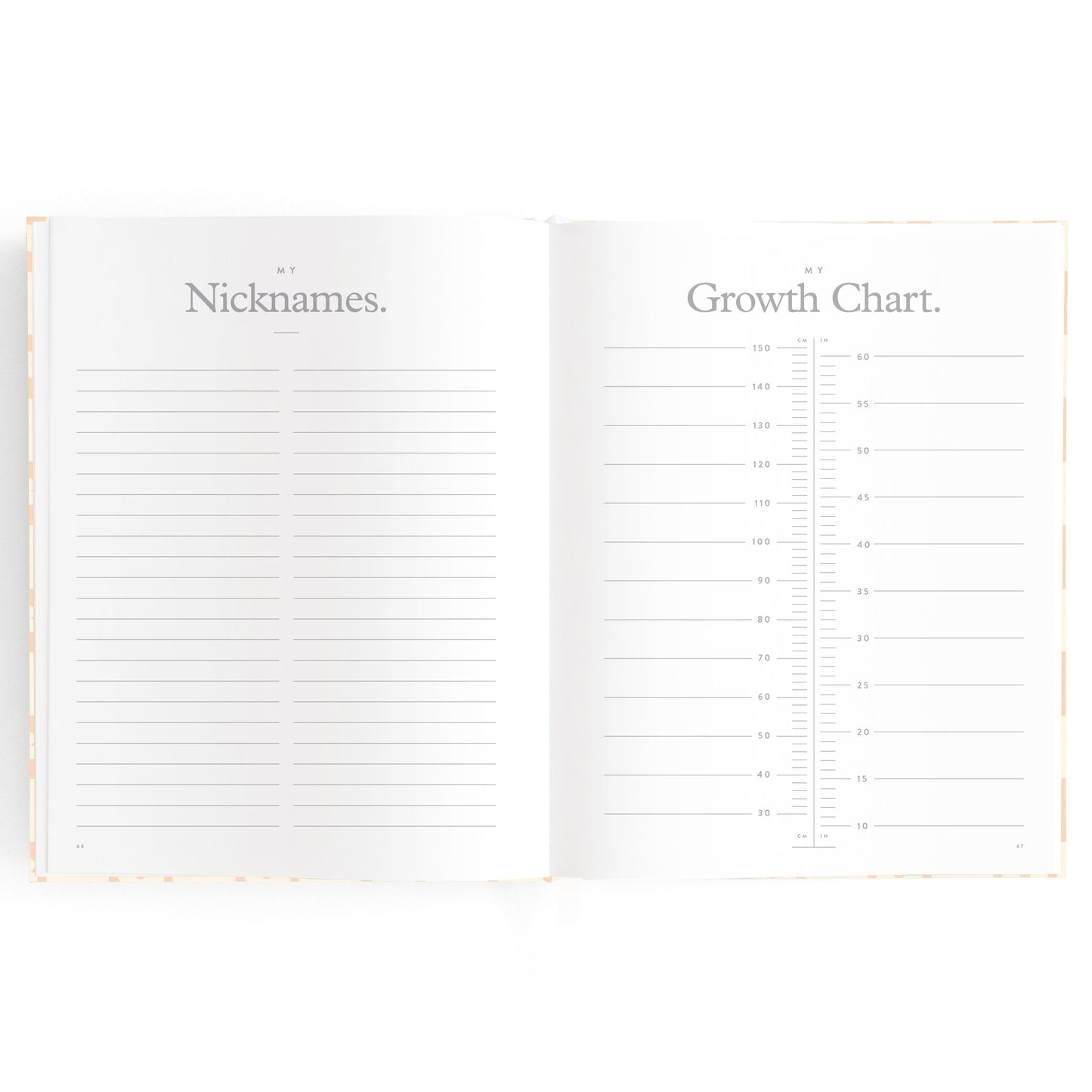 Baby Journal - Daisy Grid
