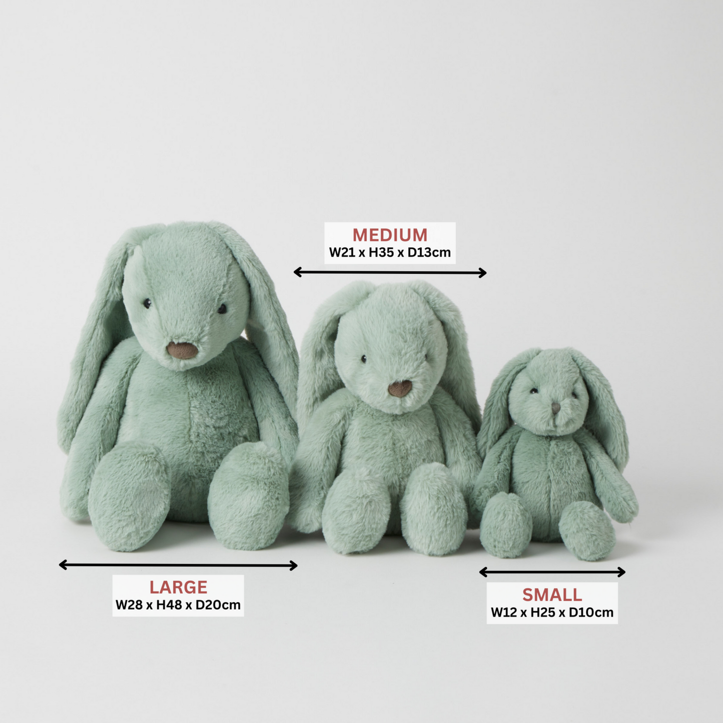 Sage the Bunny - Small