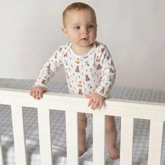 Organic Cotton Clothing 6pc Clothing Gift Set - Forest Friends