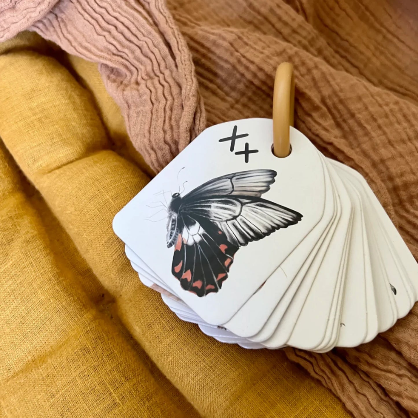 Australian Animal Alphabet Ringed Flash Cards