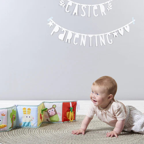 3 in 1 Developmental Baby Book