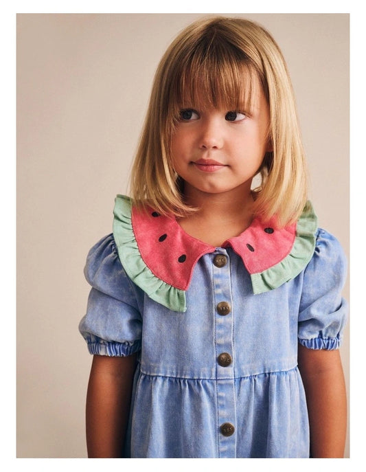 I Carried a Watermelon Denim Dress