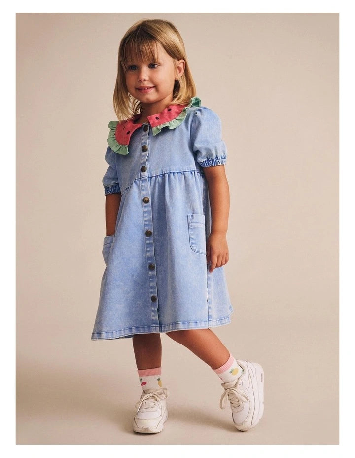 I Carried a Watermelon Denim Dress