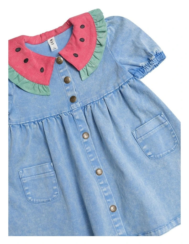 I Carried a Watermelon Denim Dress