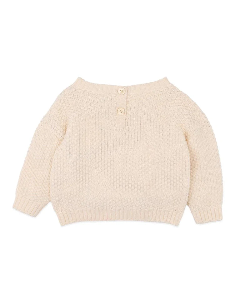 Mini Fern Hand Embr. Organic Knitted Jumper