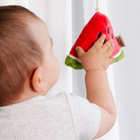 Stroller Toys 2pk - Watermelon & Blueberry