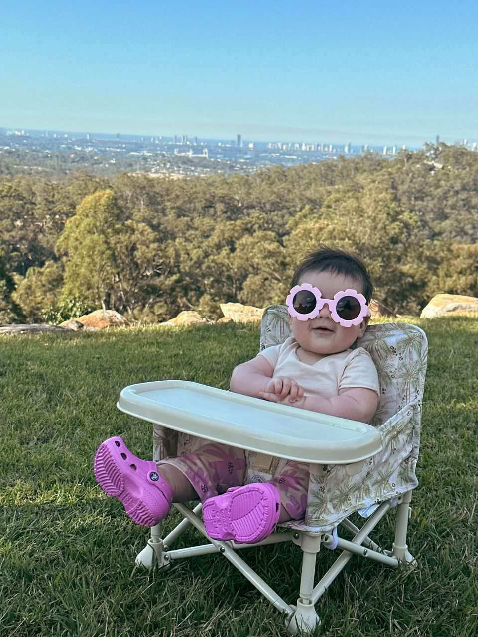 Portable Baby Chair - Desert Palm