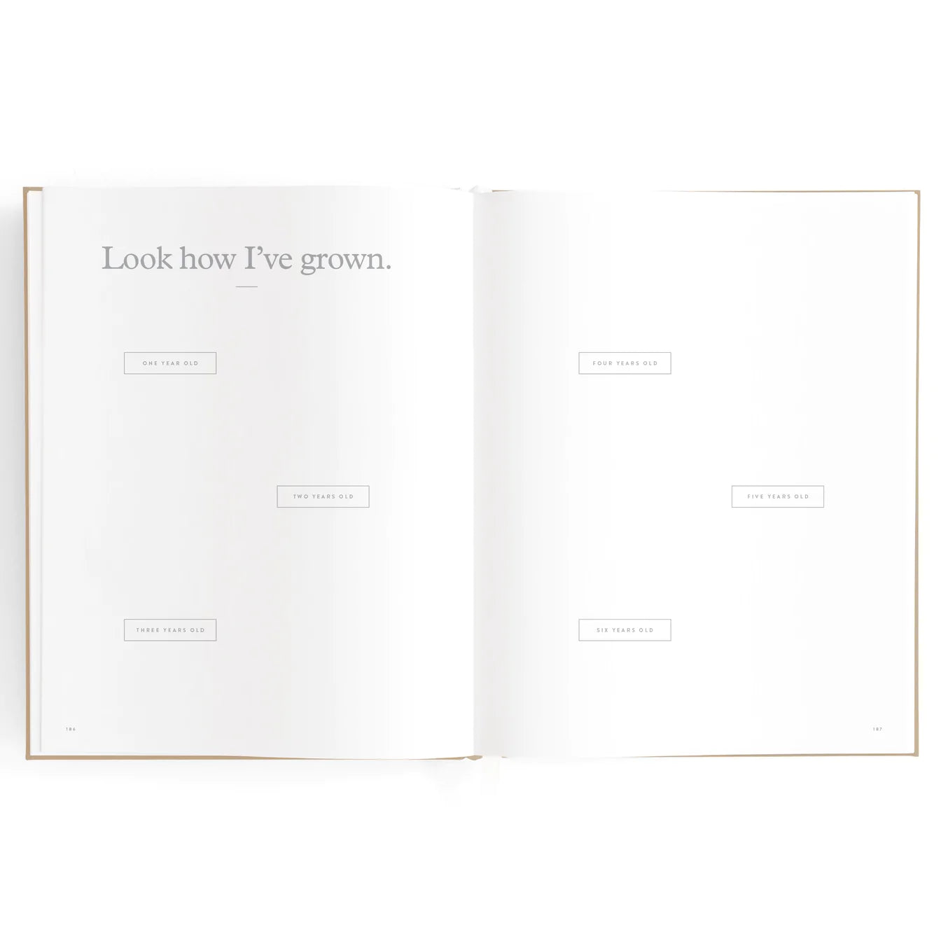 Baby Journal - Biscuit