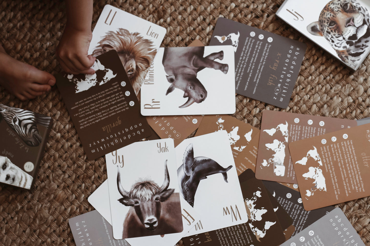 Animal Alphabet Flash Cards