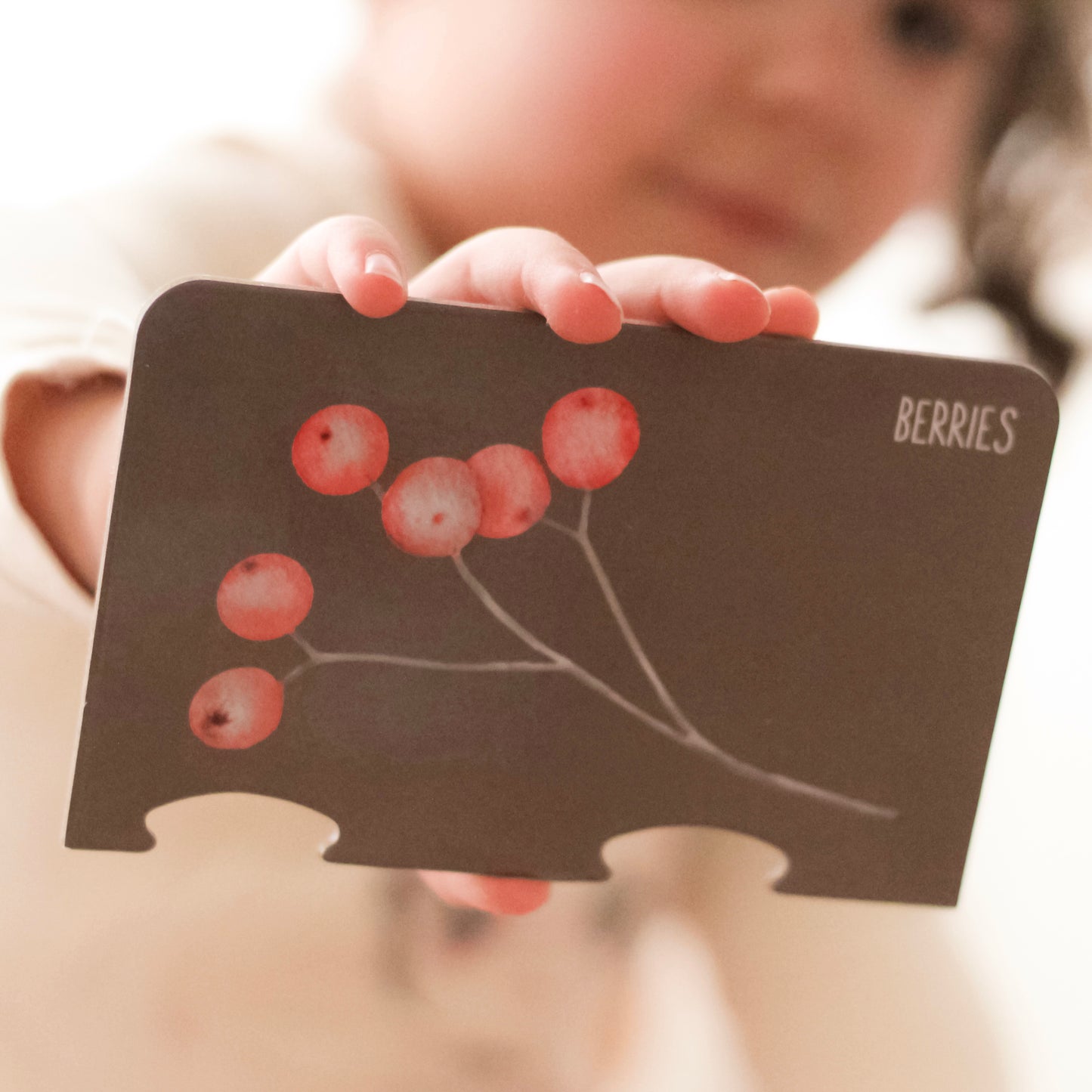 Counting Puzzle - Woodland