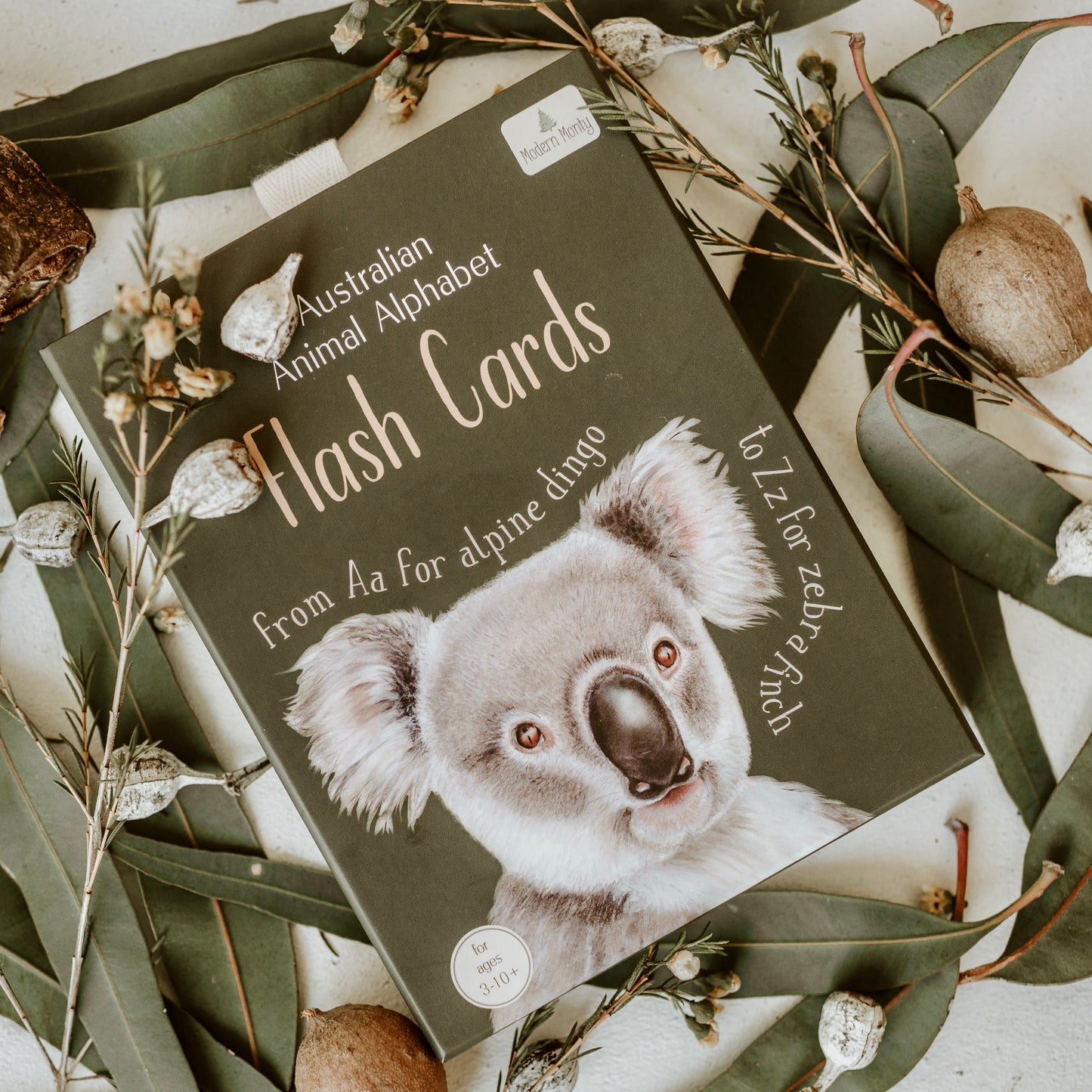 Australian Animal Alphabet Flash Cards