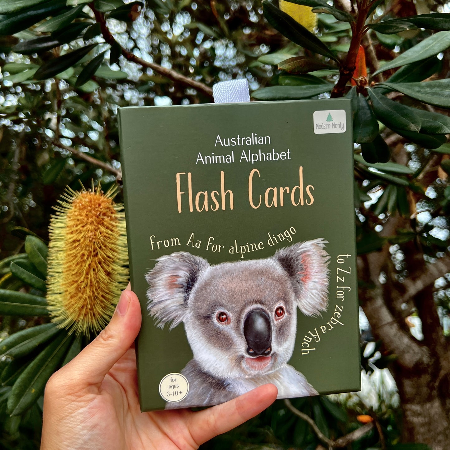 Australian Animal Alphabet Flash Cards