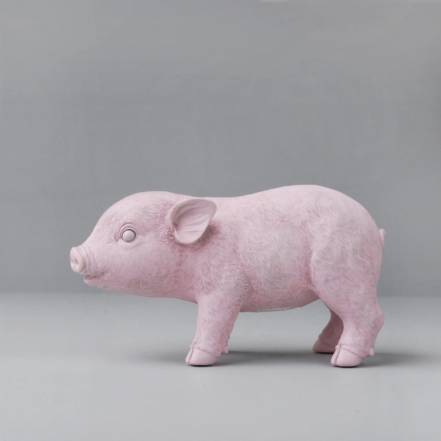 Pig Money Box