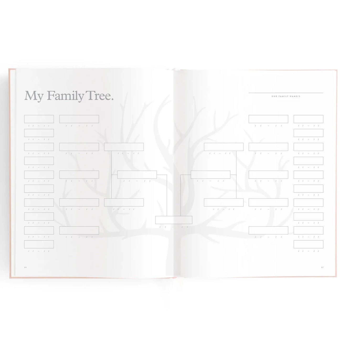 Baby Journal 3rd Edition - Rose