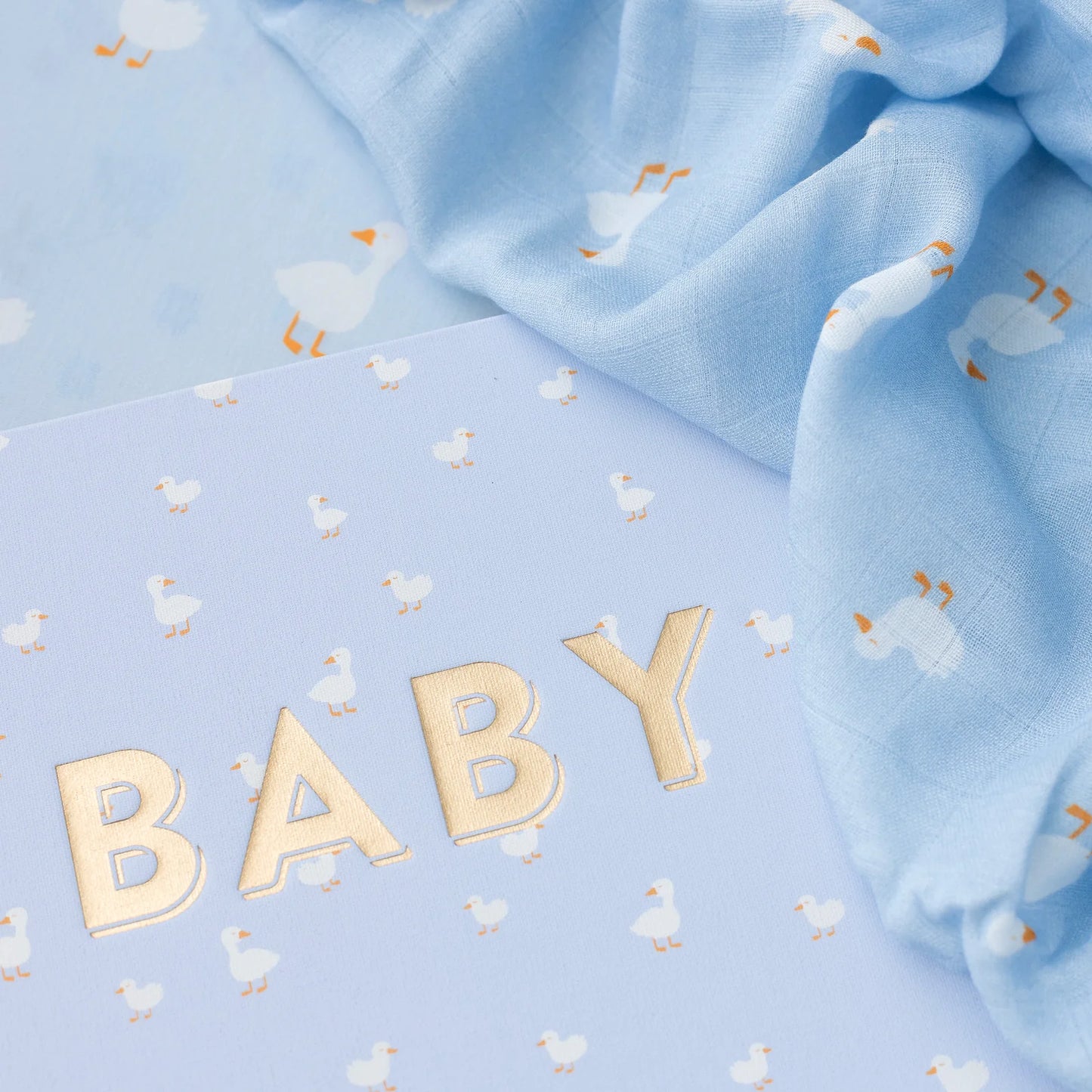 Baby Journal 3rd Edition - Blue Ducks