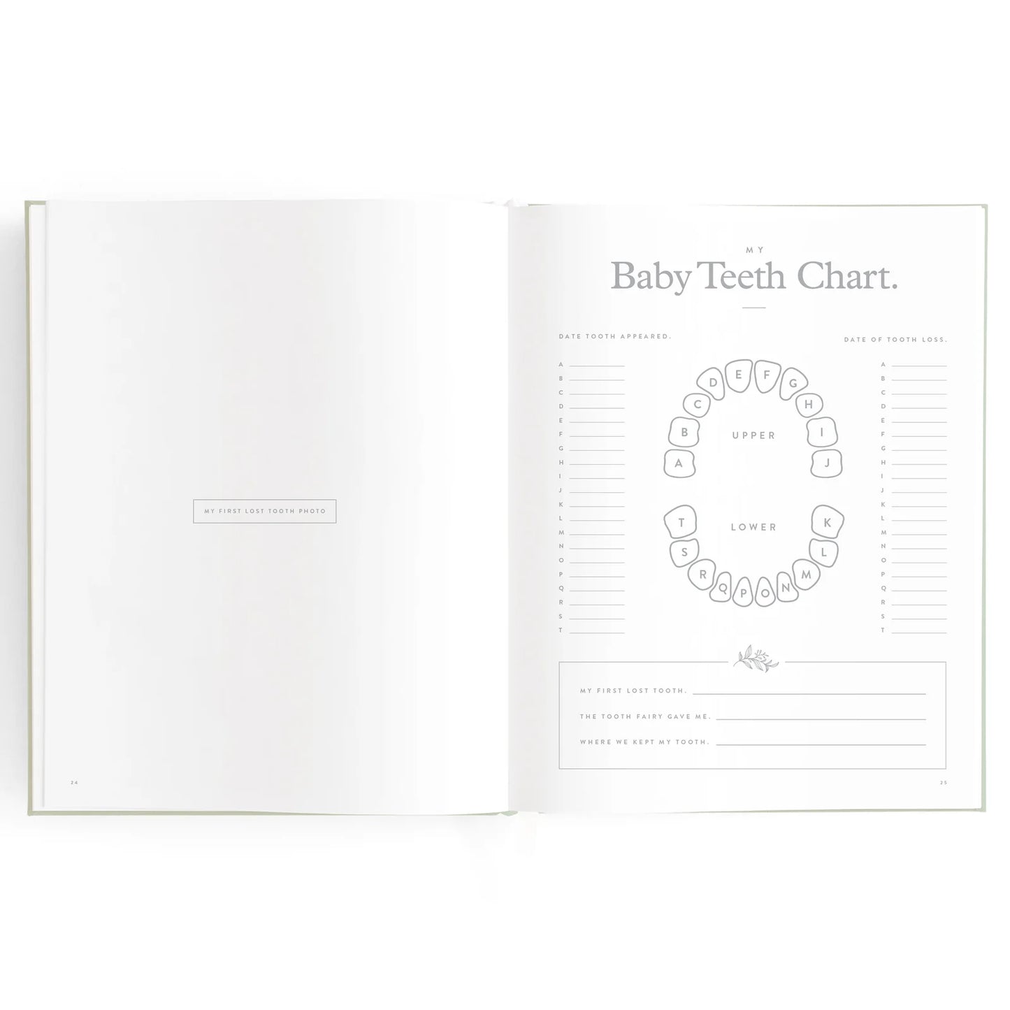 Baby Journal 3rd Edition - Blue Ducks