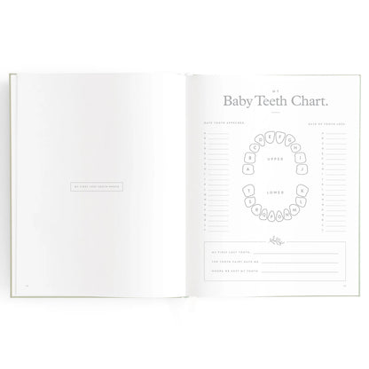 Baby Journal 3rd Edition - Blue Ducks