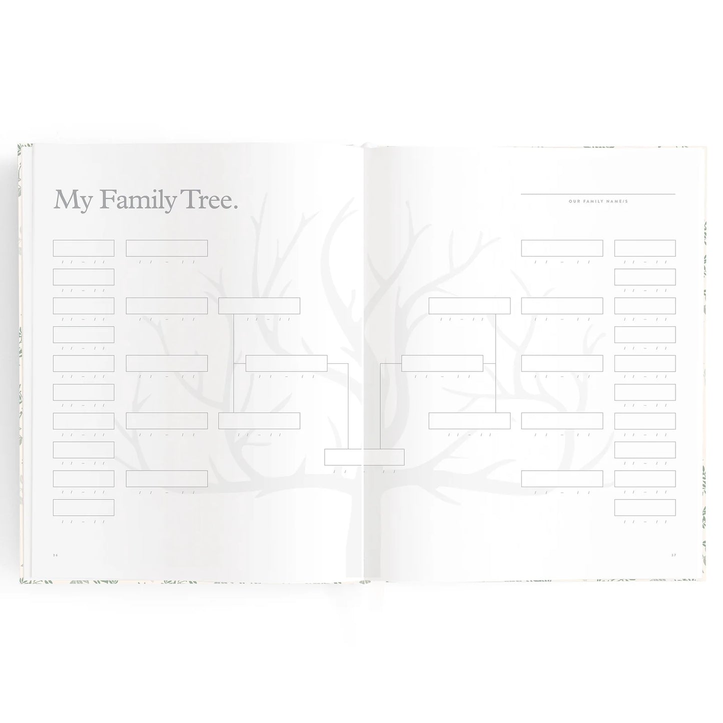 Baby Journal 3rd Edition - Cypress