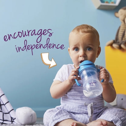 Sippy Cup 240ml - Blueberry