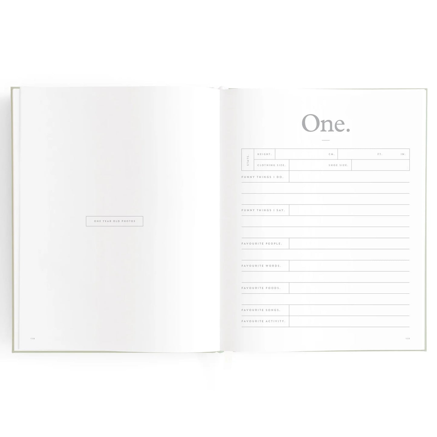 Baby Journal 3rd Edition - Blue Ducks