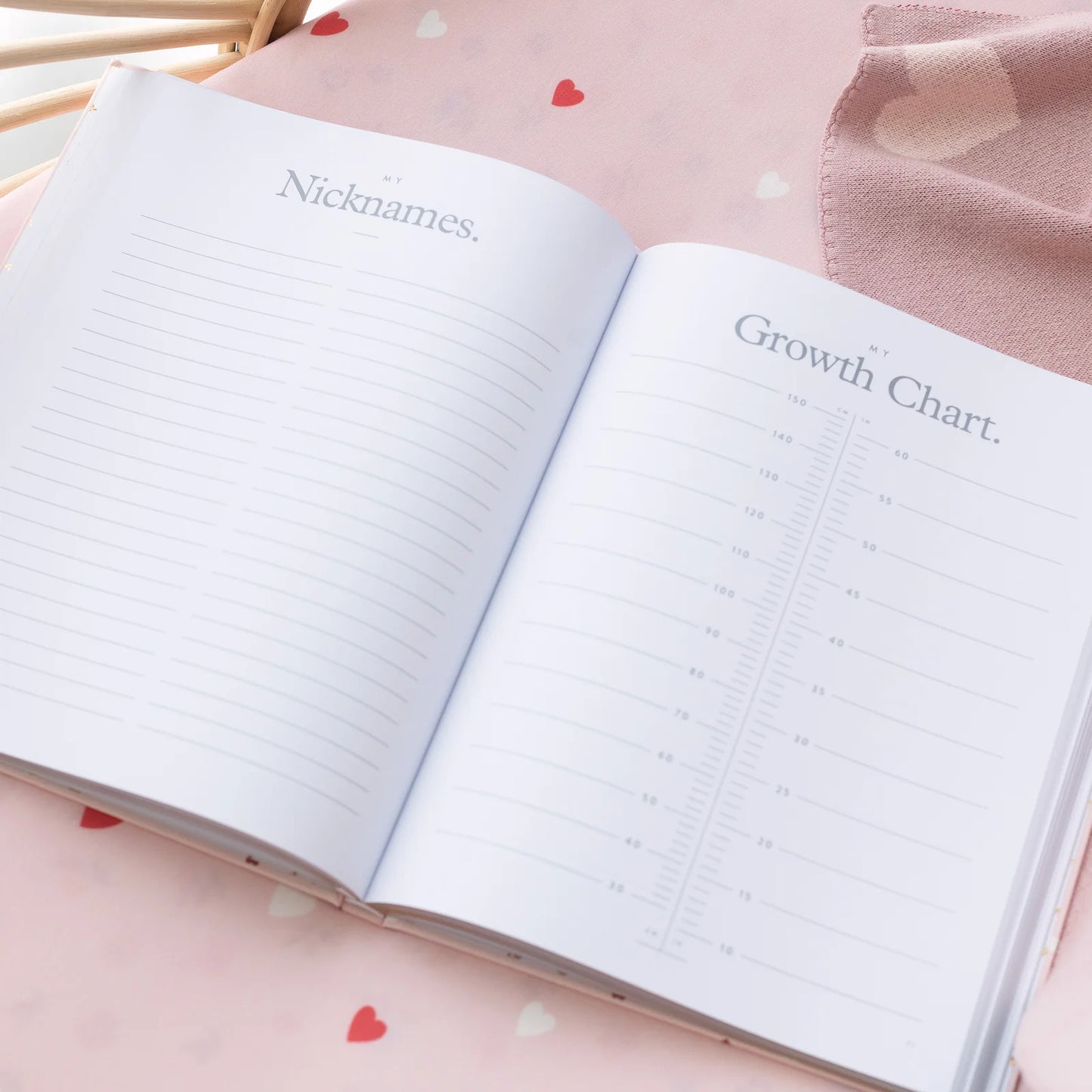 Baby Journal 3rd Edition - Little Hearts