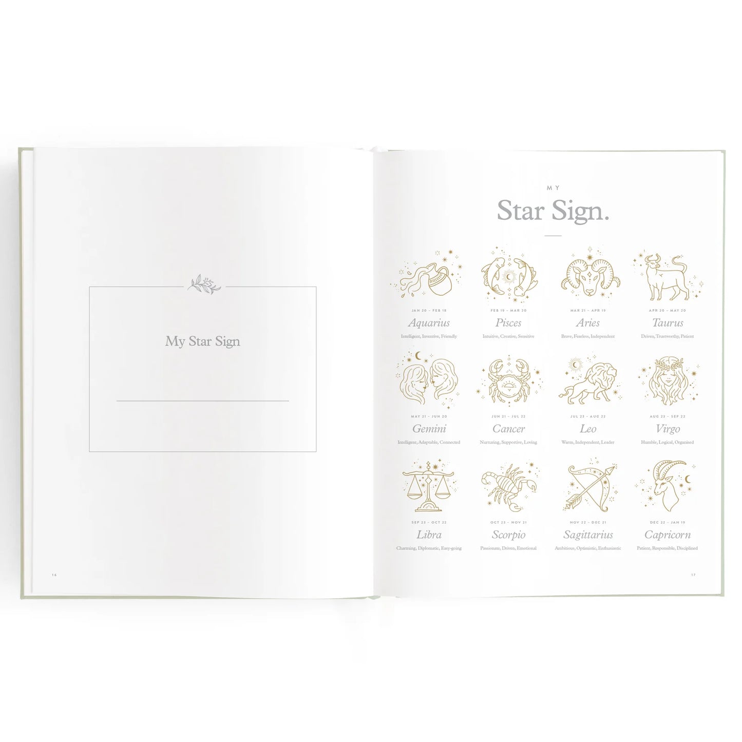 Baby Journal 3rd Edition - Blue Ducks