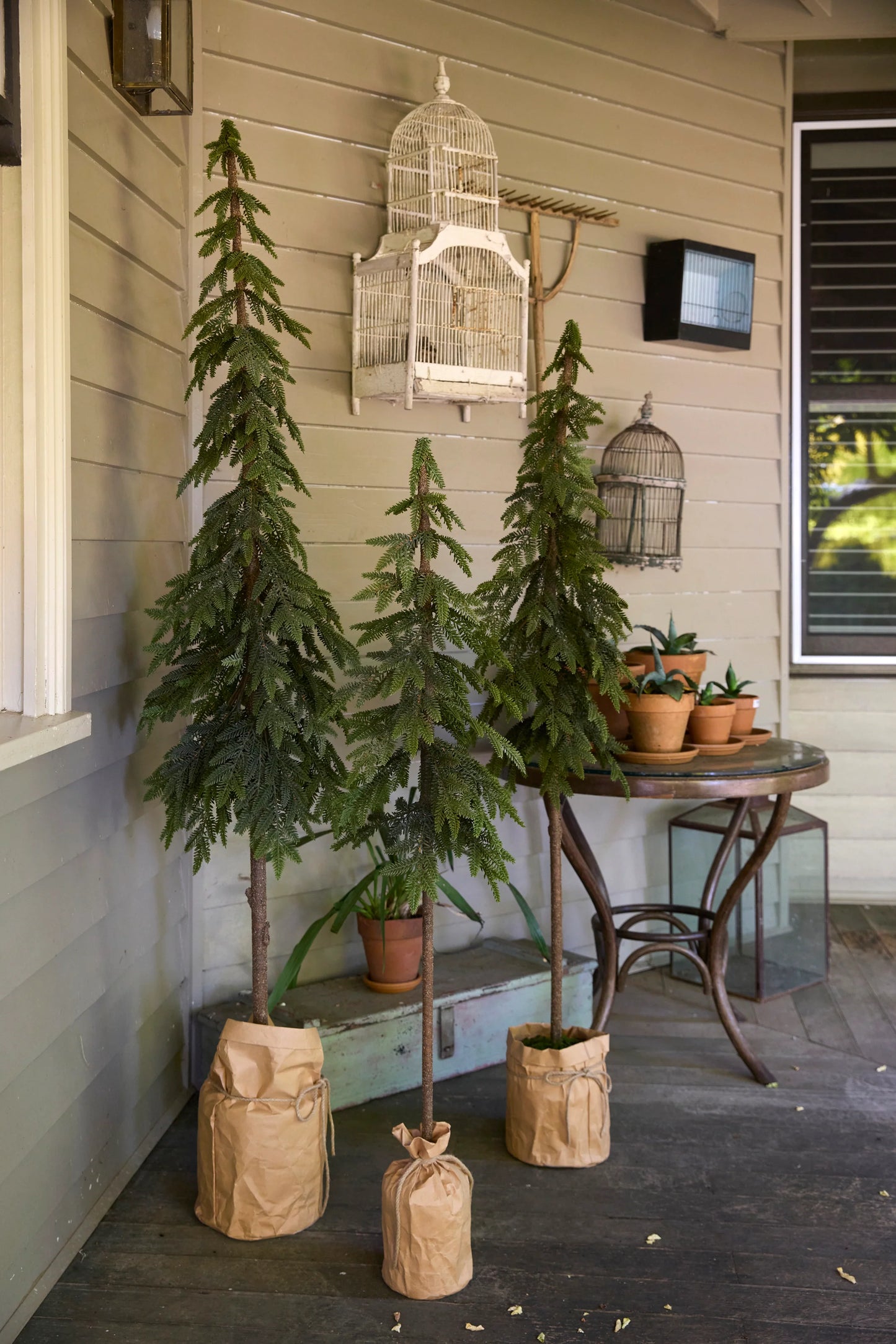 Potted Nordic Pine Tree 206cm