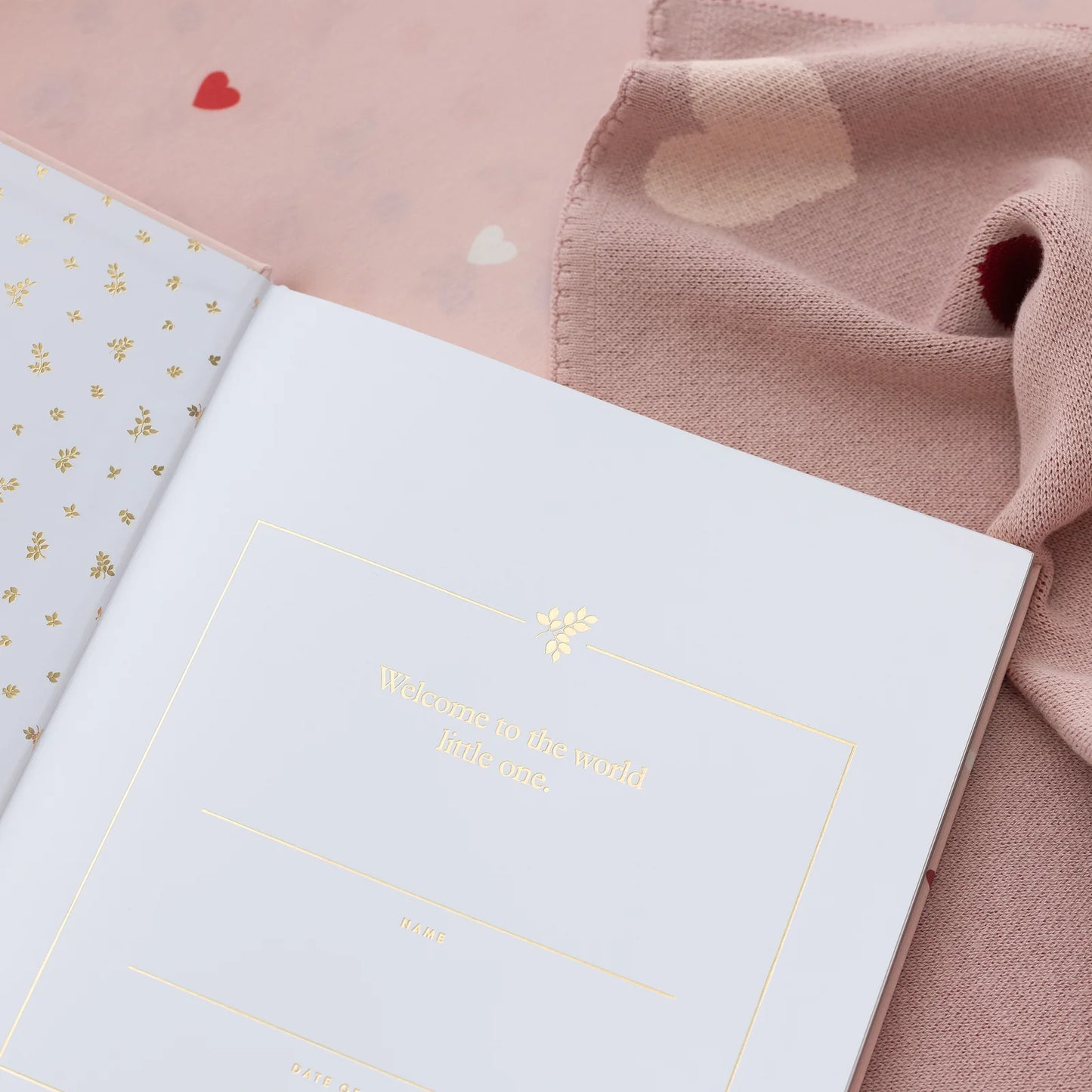 Baby Journal 3rd Edition - Little Hearts