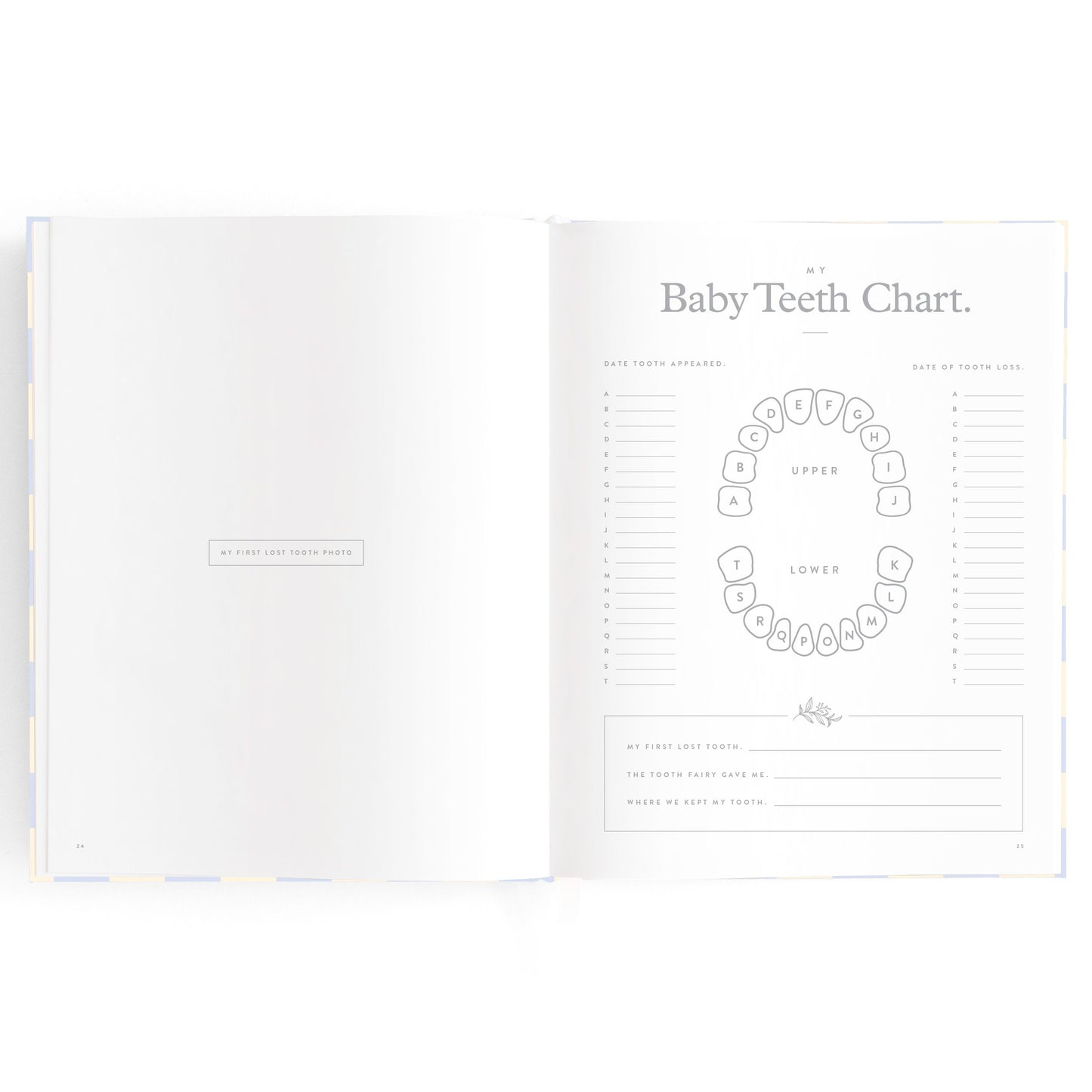 Baby Journal - Blue Check