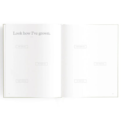 Baby Journal 3rd Edition - Blue Ducks