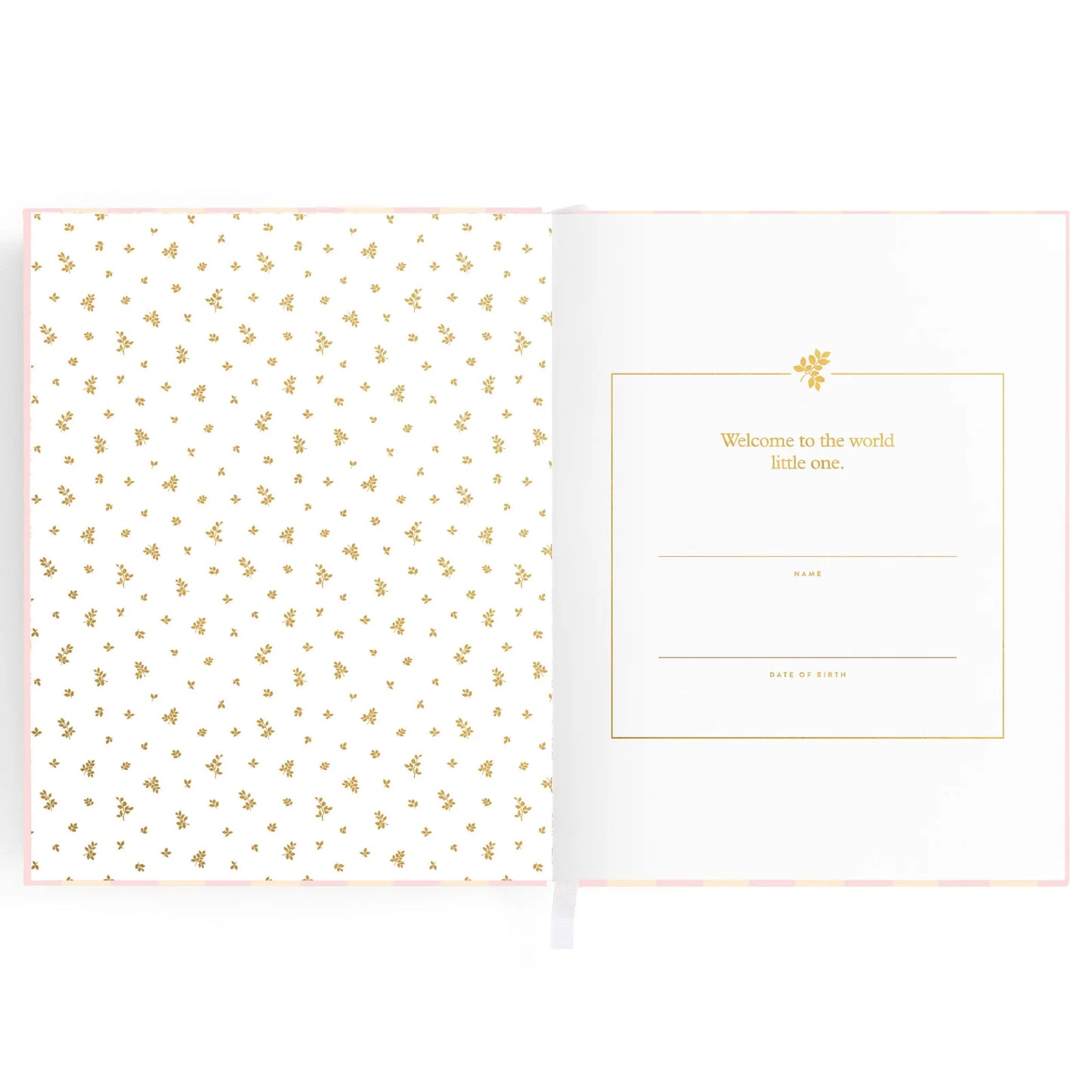 Baby Journal 3rd Edition - Pink Ducks