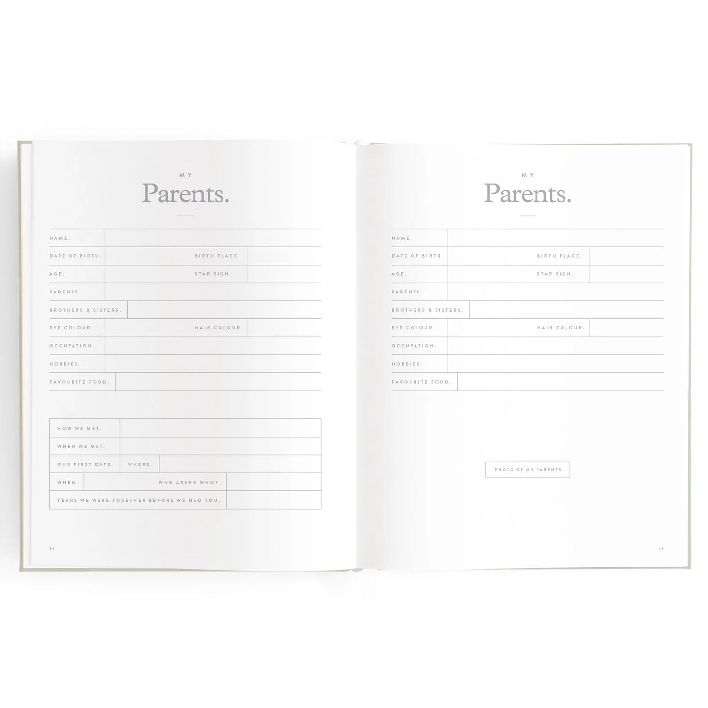 Baby Journal 3rd Edition - Blue Ducks