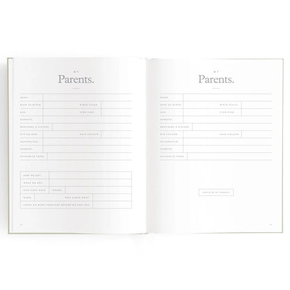 Baby Journal 3rd Edition - Blue Ducks