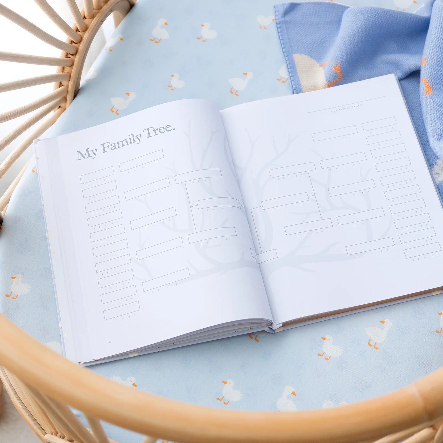 Baby Journal 3rd Edition - Blue Ducks