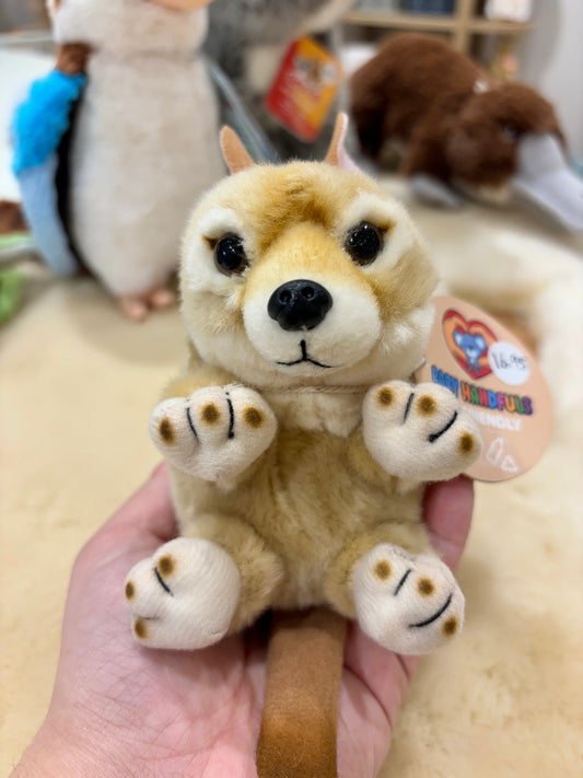 Baby Handfuls - Dingo Pup