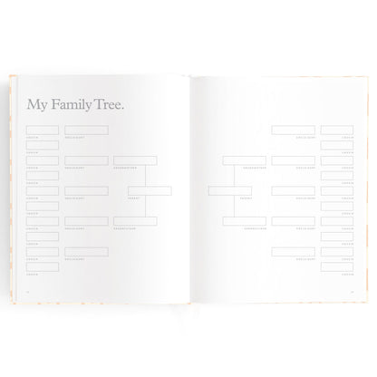 Baby Journal - Daisy Grid
