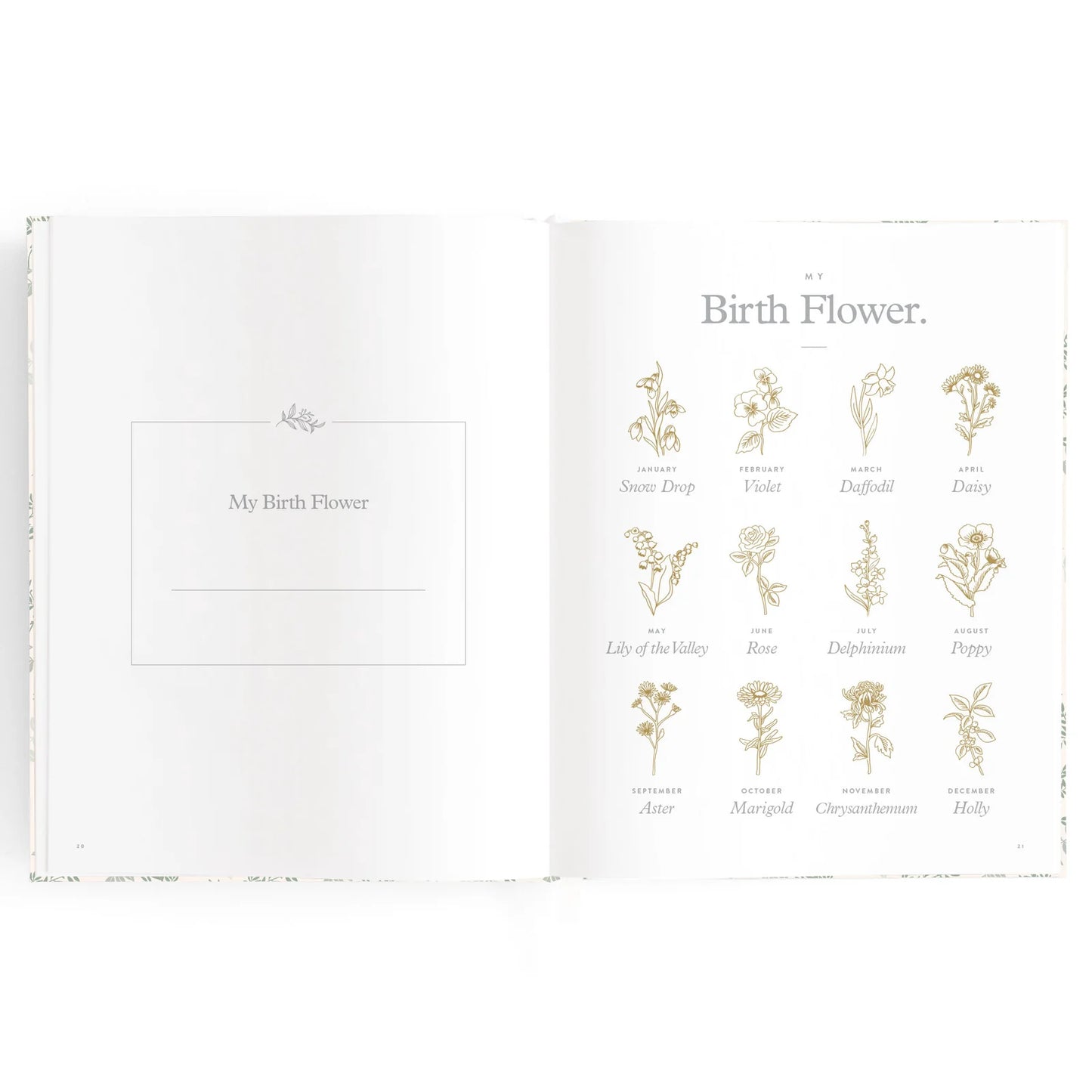 Baby Journal 3rd Edition - Cypress